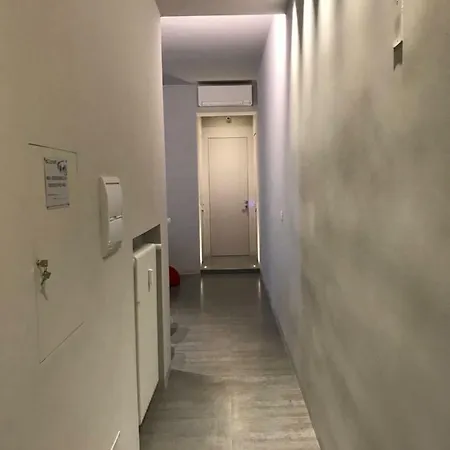 Mediceo 42 3*